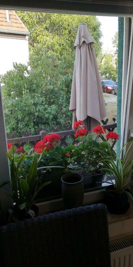 Dorfstrasse 21 Ferienwohnung 3 Schwielowsee Dış mekan fotoğraf